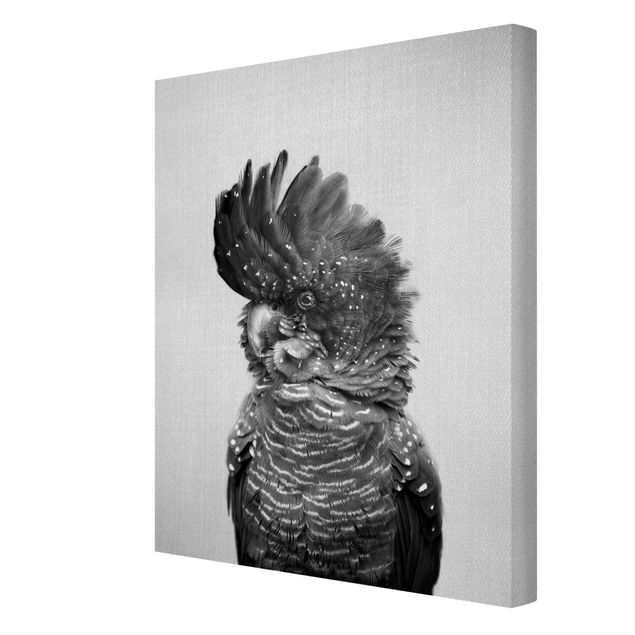 Obrazy na płótnie ptaki Cockatoo Kanye Black And White