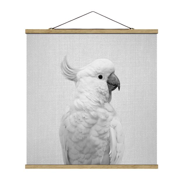 Obrazy ze zwierzętami Cockatoo Kiki Black And White
