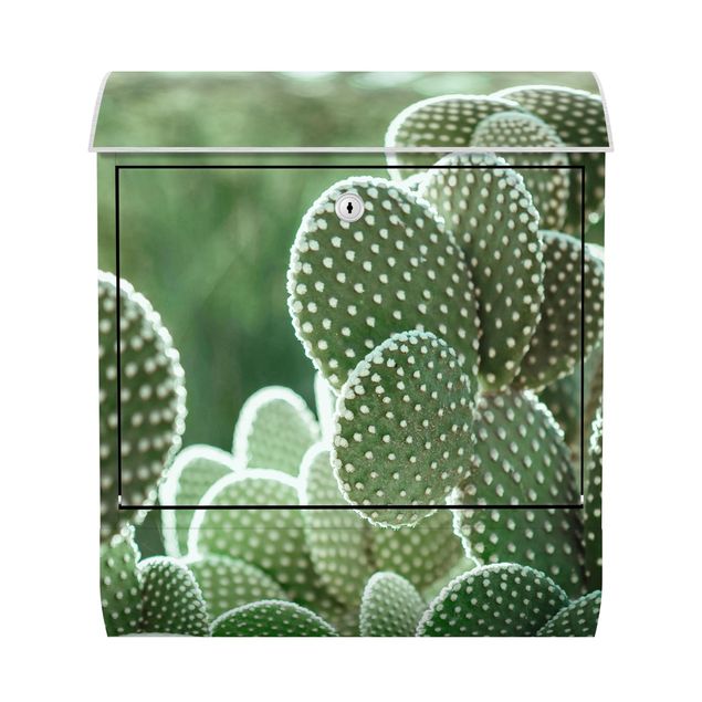 Skrzynka na listy - Kaktusy