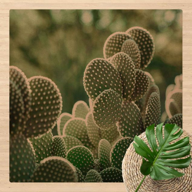 dywan nowoczesny Kaktusy