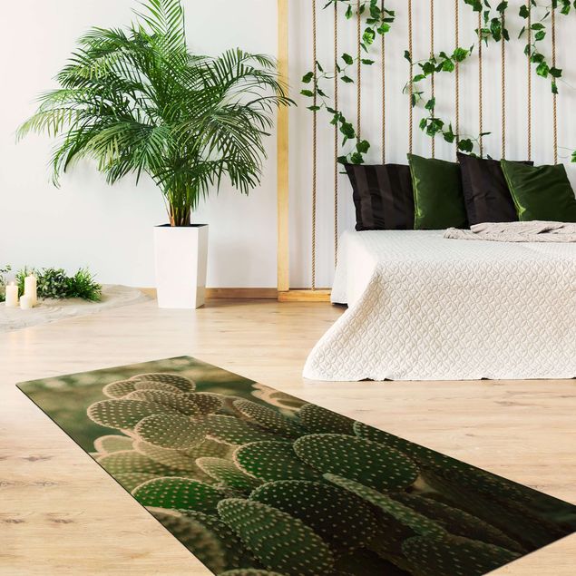 dywan dżungla dla dzieci Kaktusy