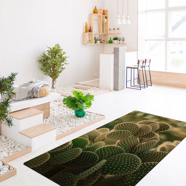 dywan nowoczesny Kaktusy