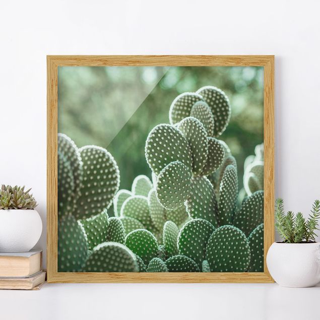 Dekoracja do kuchni Kaktusy