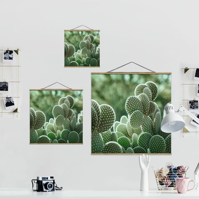 Obrazy na ścianę Kaktusy