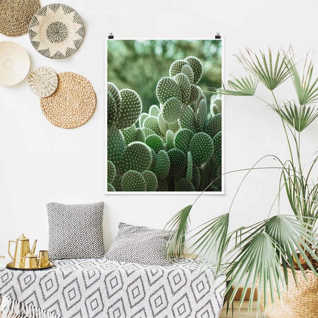 Obrazy do salonu nowoczesne Kaktusy