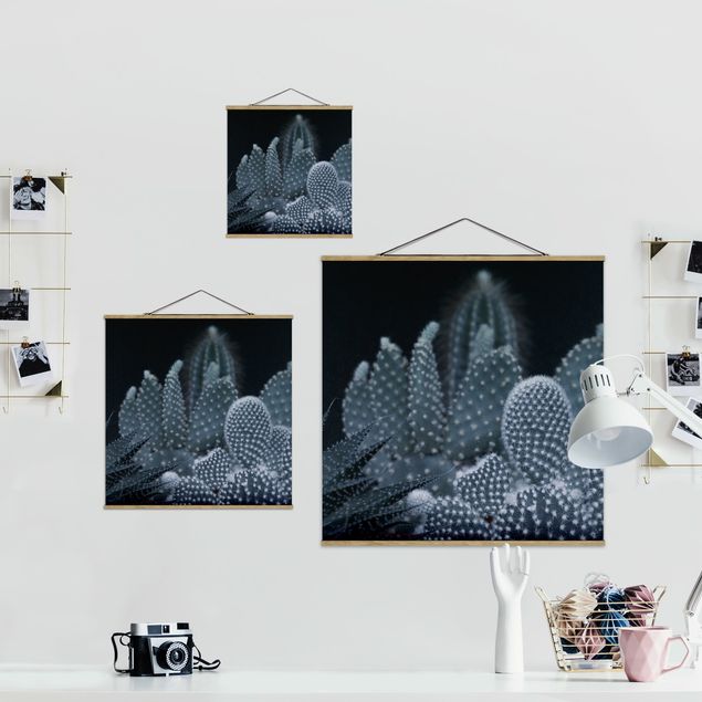 Obrazy motywy kwiatowe Rodzina kaktusów w nocy