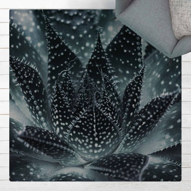 dywan nowoczesny Kaktus z kropkami gwiazd w nocy