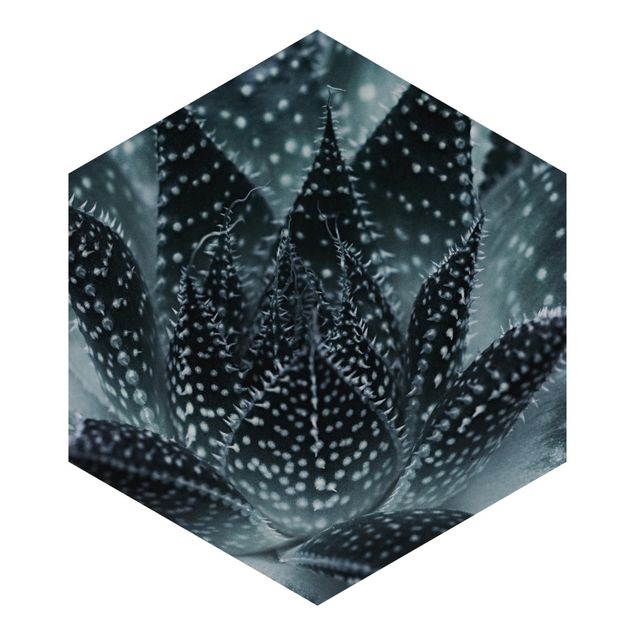Sześciokątna tapeta samoprzylepna - Kaktus z kropkami gwiazd w nocy