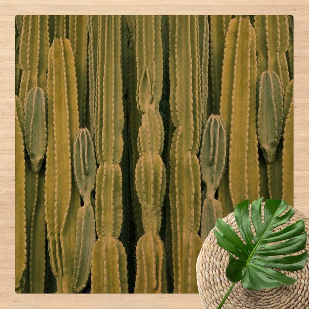 dywan nowoczesny Ściana kaktusów