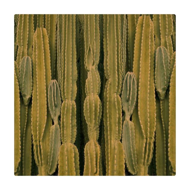 duży dywan do pokoju Ściana kaktusów