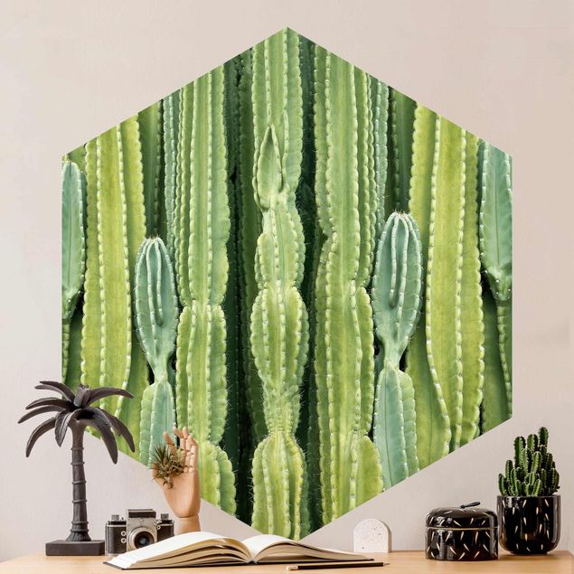 Zielona tapeta Ściana kaktusów