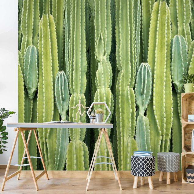 Tapety na ściany Ściana kaktusów