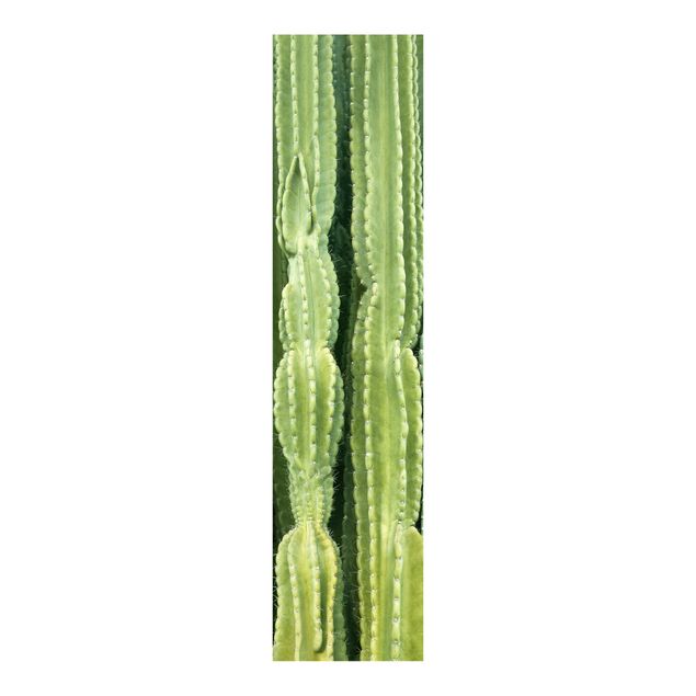 Tekstylia domowe Ściana kaktusów