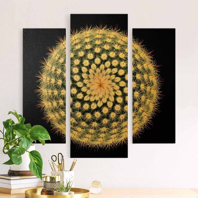 Obrazy do salonu nowoczesne Kwiat kaktusa