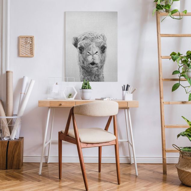 Obrazy nowoczesny Camel Konrad Black And White