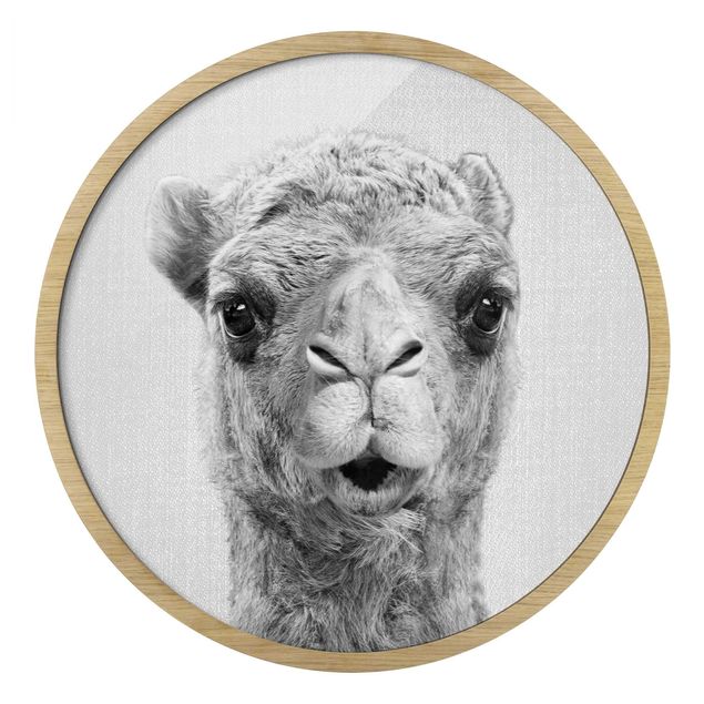 Obrazy do salonu nowoczesne Camel Konrad czarno-biały