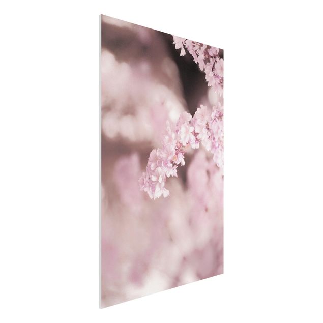 Dekoracja do kuchni Kwiat wiśni w fioletowym świetle