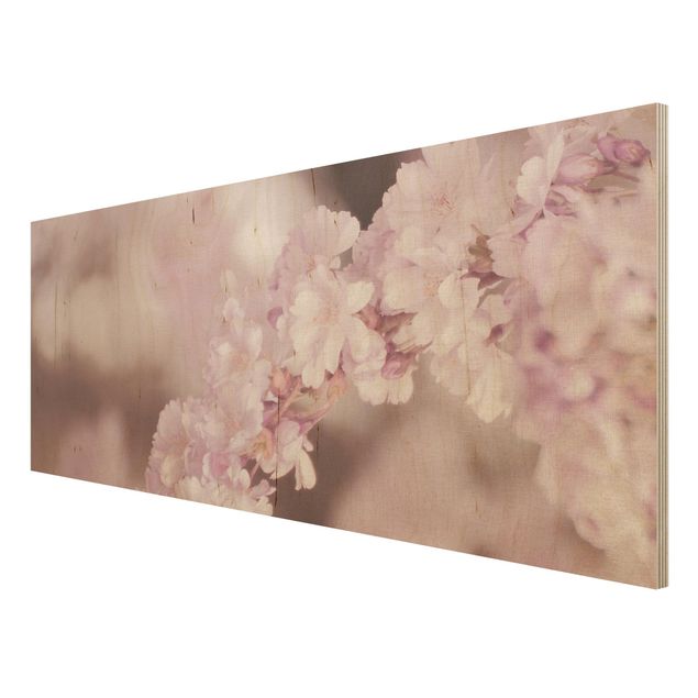 Obrazy z drewna Kwiat wiśni w fioletowym świetle