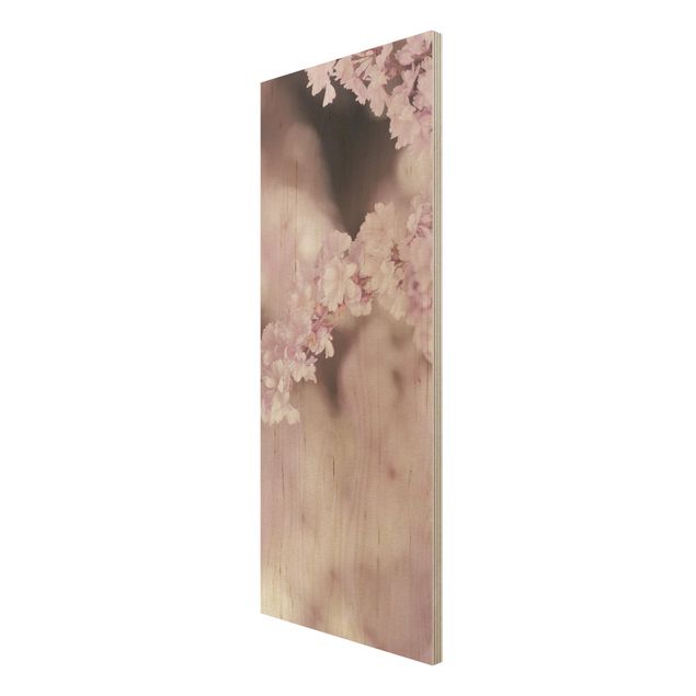 Obrazy z drewna Kwiat wiśni w fioletowym świetle