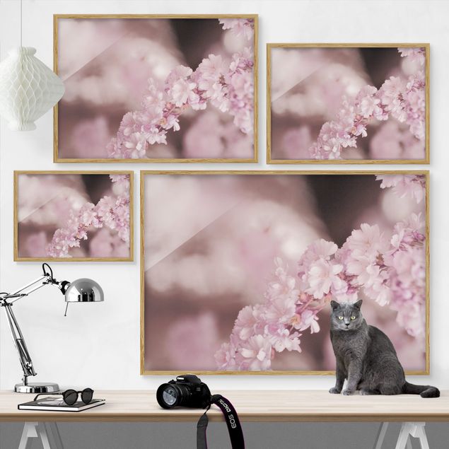 Obrazy do salonu Kwiat wiśni w fioletowym świetle