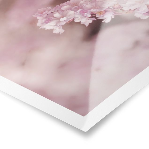 Obrazy na ścianę Kwiat wiśni w fioletowym świetle