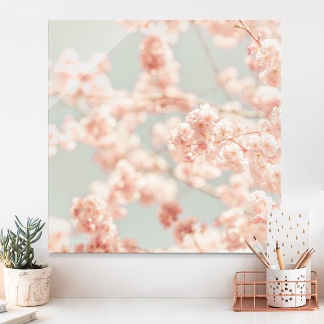 Obrazy na szkle kwadrat Blask kwiatu wiśni