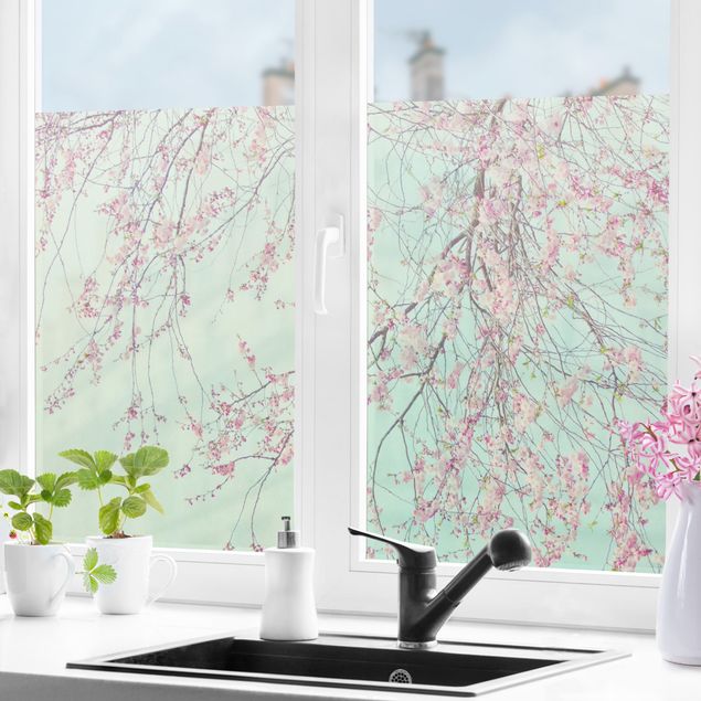 Folia okienna do salonu Tęsknota za kwiatem wiśni