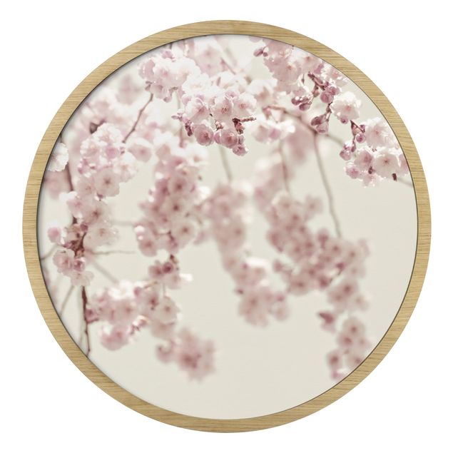 Obrazy motywy kwiatowe Dancing Cherry Blossoms