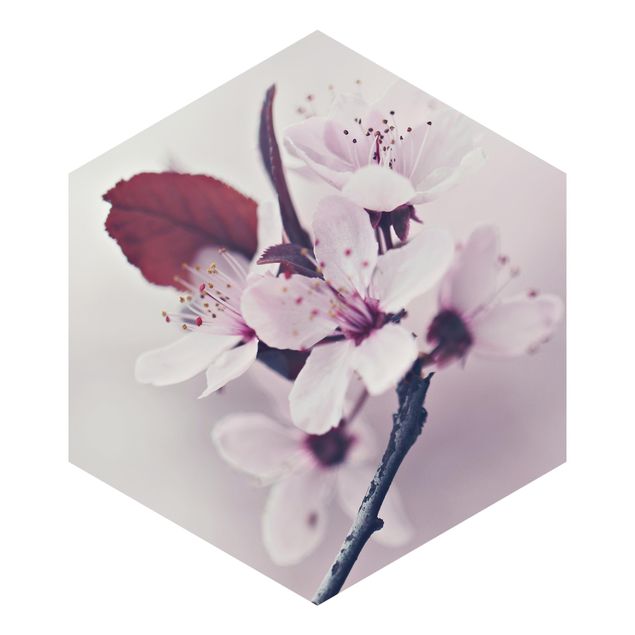 Sześciokątna tapeta samoprzylepna - Gałązka kwiatu wiśni staroróżowa