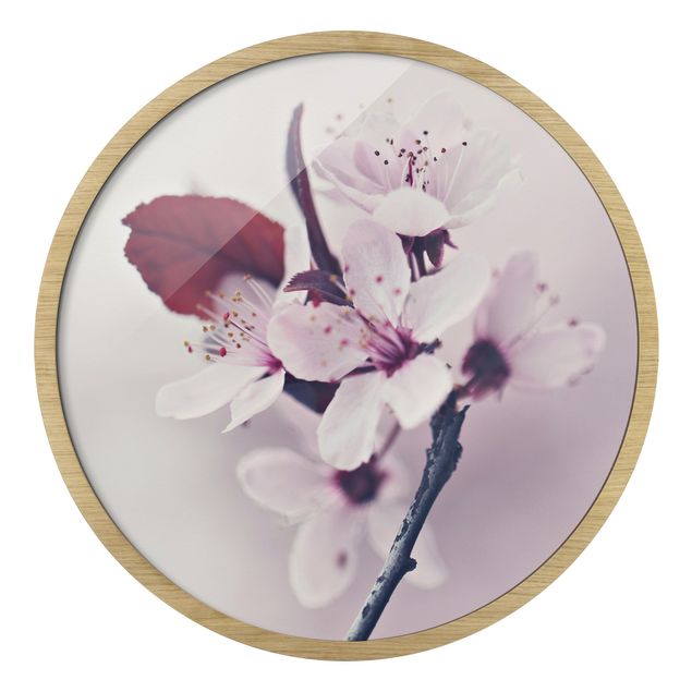 Obrazy motywy kwiatowe Cherry Blossom Branch Antique Pink