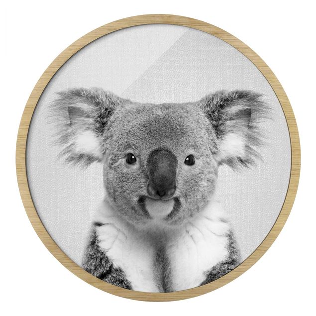 Obrazy do salonu nowoczesne Koala Klaus czarno-biały