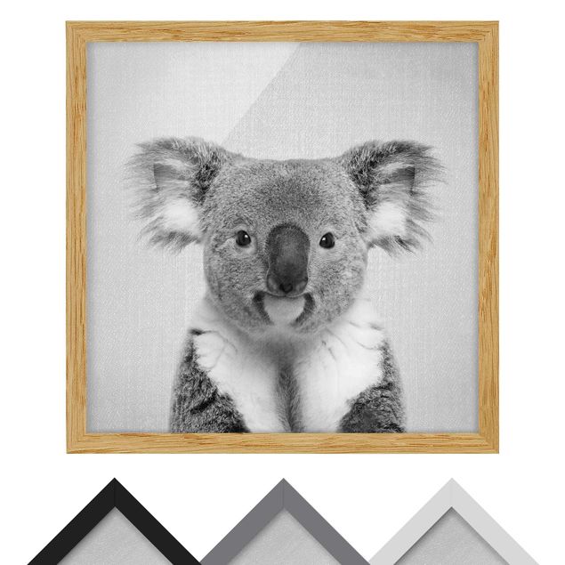 Obrazy ze zwierzętami Koala Klaus Black And White