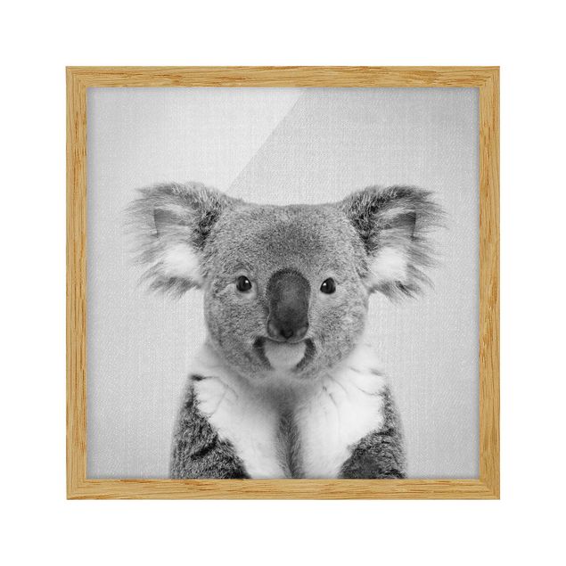 Nowoczesne obrazy do salonu Koala Klaus Black And White