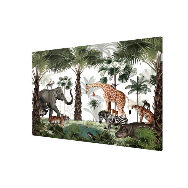 Obrazy do salonu Królestwo zwierząt z dżungli