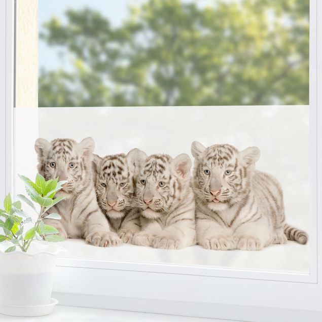 Folia okienna do sypialni Dzieci tygrysa królewskiego