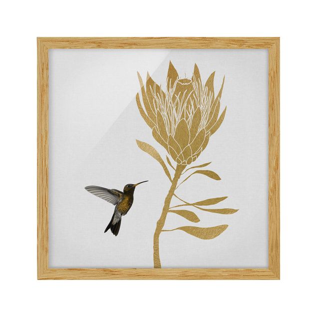 Obrazy w ramie do kuchni Koliber i tropikalny złoty kwiat