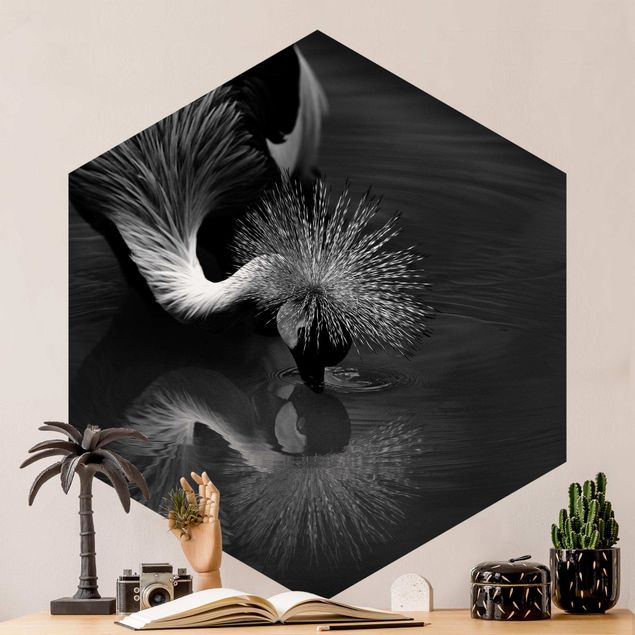Tapety ptaki Korona żurawia kokarda czarno-biały