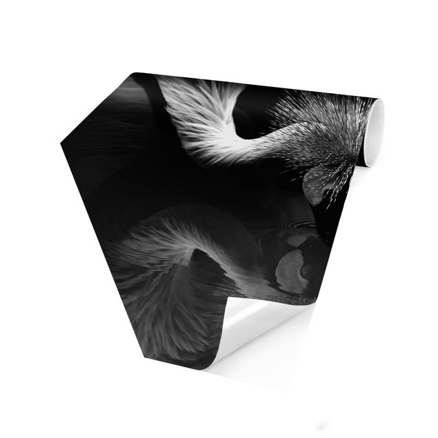 Fototapety Korona żurawia kokarda czarno-biały