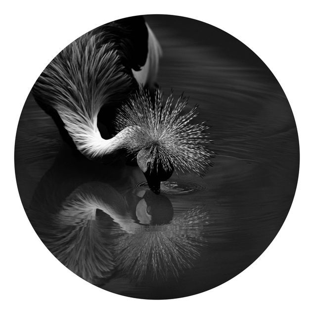 Tapety Korona żurawia kokarda czarno-biały