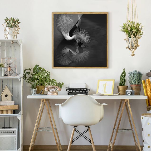 Obrazy w ramie do korytarzu Korona żurawia kokarda czarno-biały