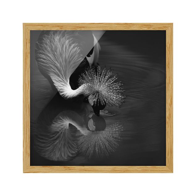 Obrazy w ramie do kuchni Korona żurawia kokarda czarno-biały