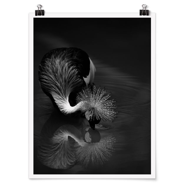 Obrazy zwierzęta Korona żurawia kokarda czarno-biały