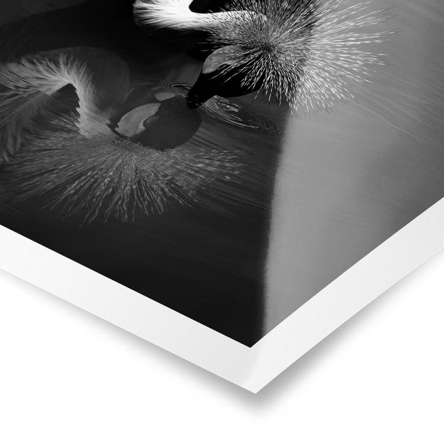 Plakaty czarno białe Korona żurawia kokarda czarno-biały