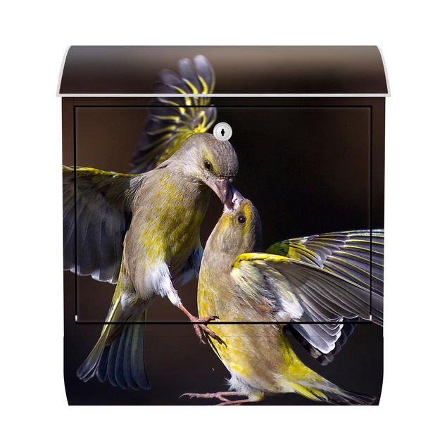 Skrzynka na listy - Całujące się kolibry