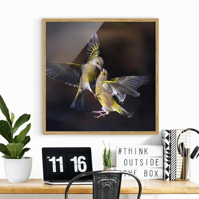 Dekoracja do kuchni Całujące się kolibry