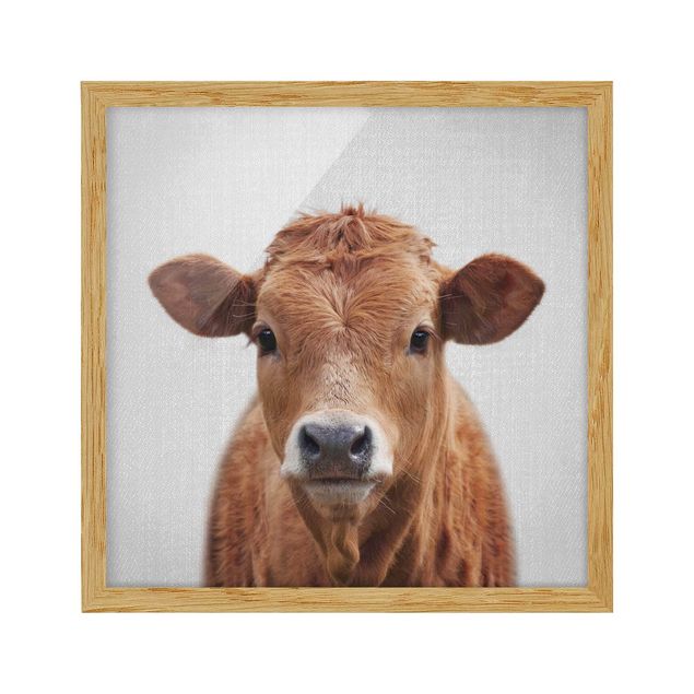 Obrazy do salonu Cow Kathrin