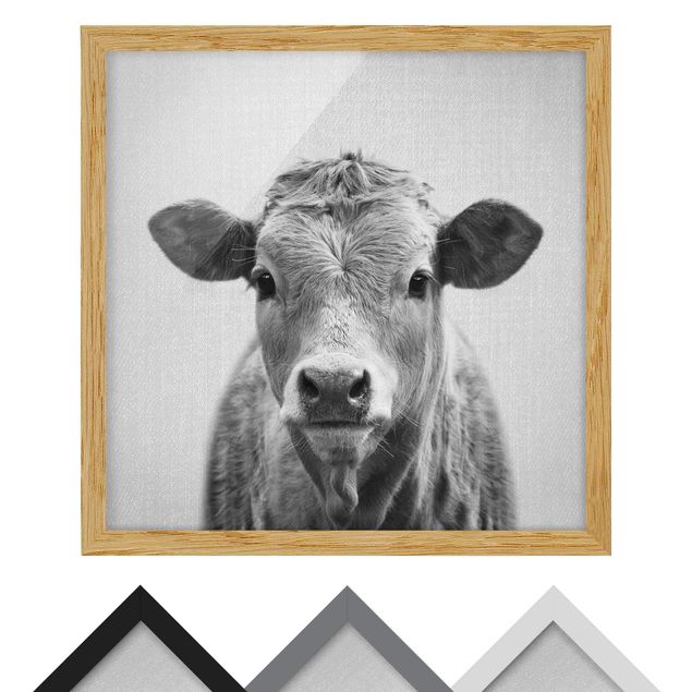 Obrazy zwierzęta Cow Kathrin Black And White