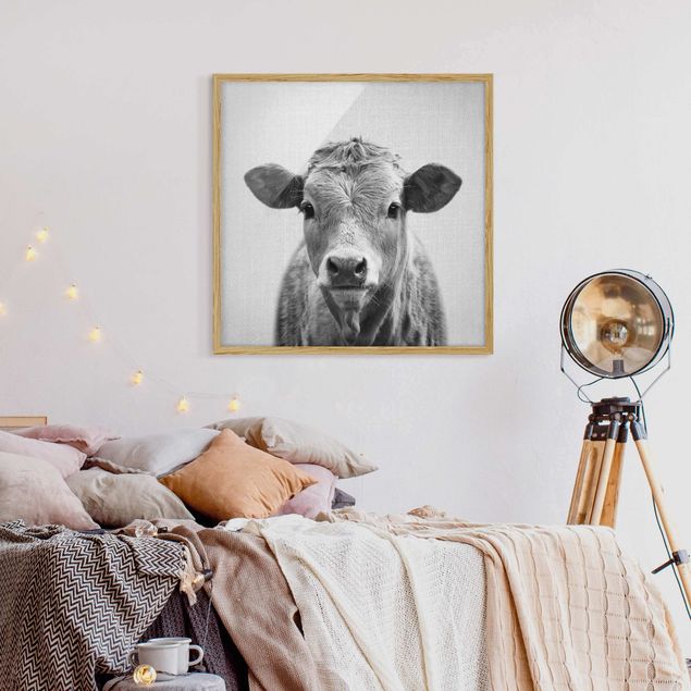 Obrazy w ramie zwierzęta Cow Kathrin Black And White