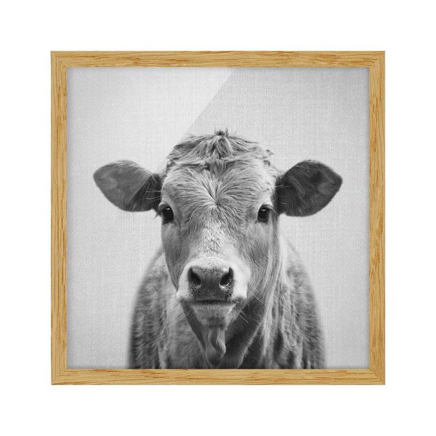 Obrazy do salonu Cow Kathrin Black And White