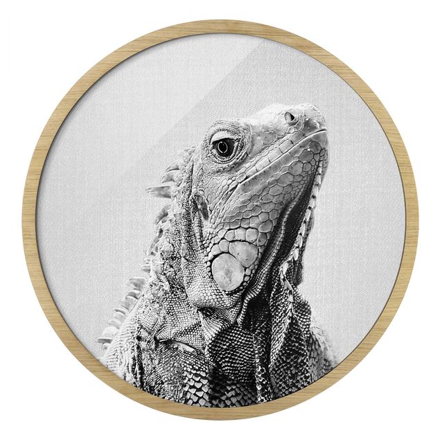 Nowoczesne obrazy do salonu Iguana Louis czarno-biały